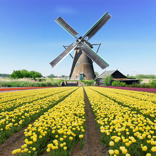 Voorbeeld van kleurennachtzicht in Full Color