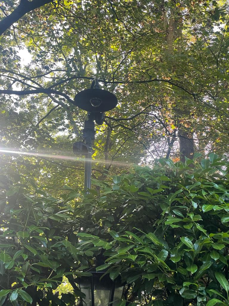 Camera aan een lichtmast tussen bomen, van onderaf gezien met de zon erdoorheen