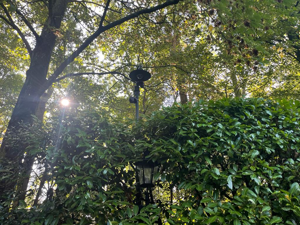 Bewakingscamera hoog geplaatst tussen boomtakken en een groene haag in een grote tuin