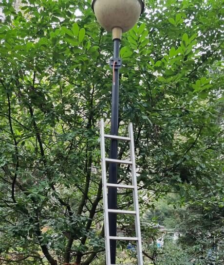 Ladder tegen een hoge donkere mast in een tuin terwijl de camera bovenin wordt gemonteerd