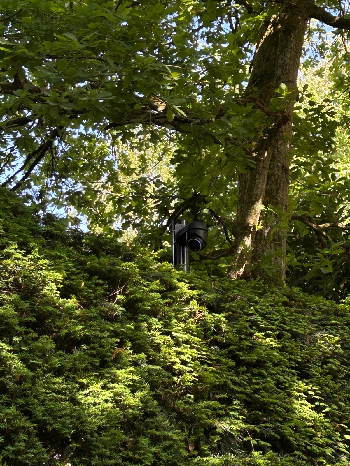 Zwarte camera hoog op een paal tussen de bomen, met overzicht over het terrein