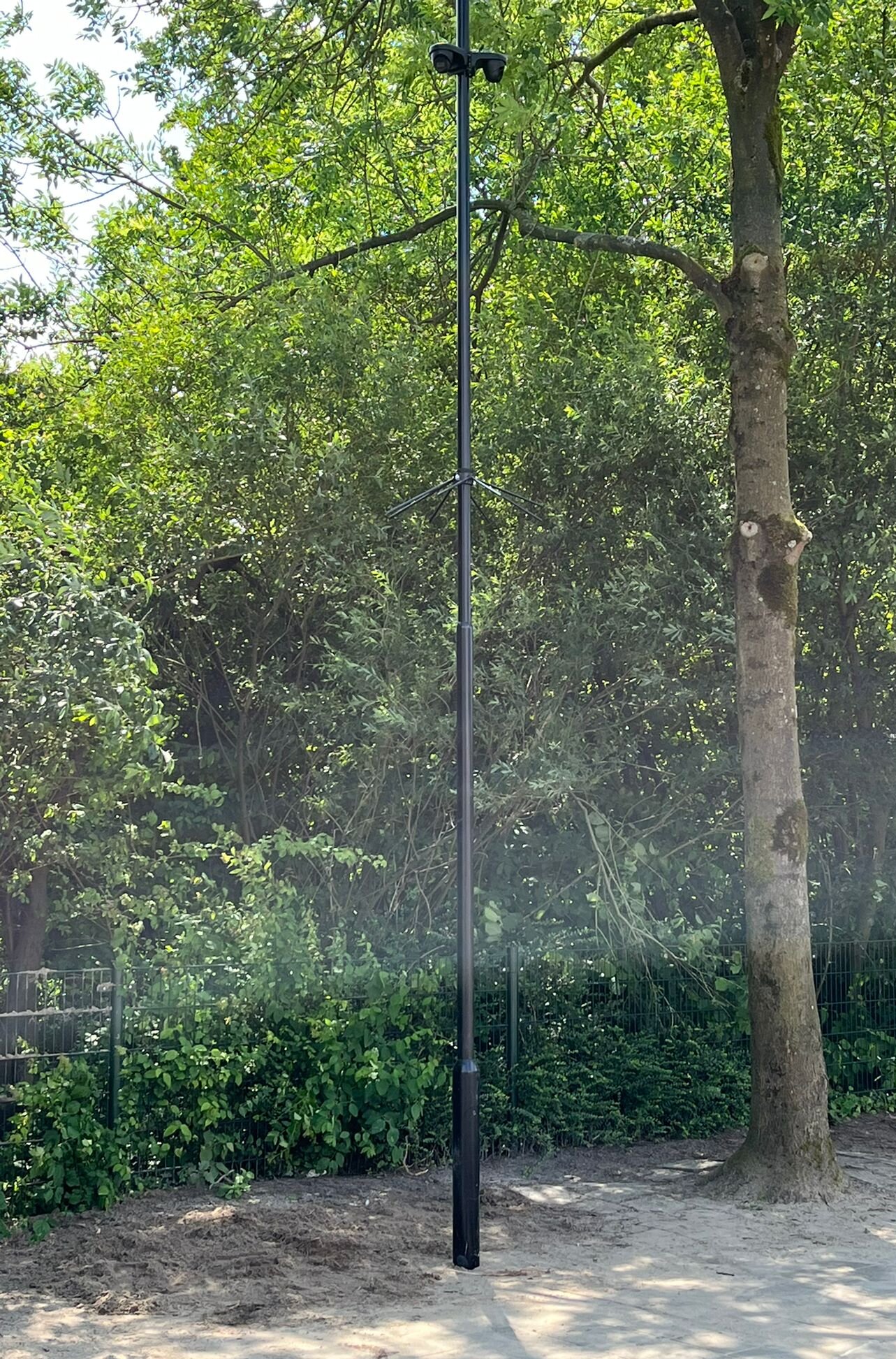 Detail van de camerapaal met de metalen inklimbeveiliging halverwege de mast, naast een grote boom