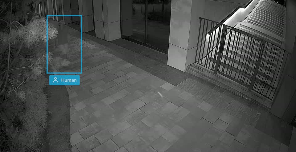 Nachtopname in zwart-wit waarop de camera een voorbijganger als mens markeert