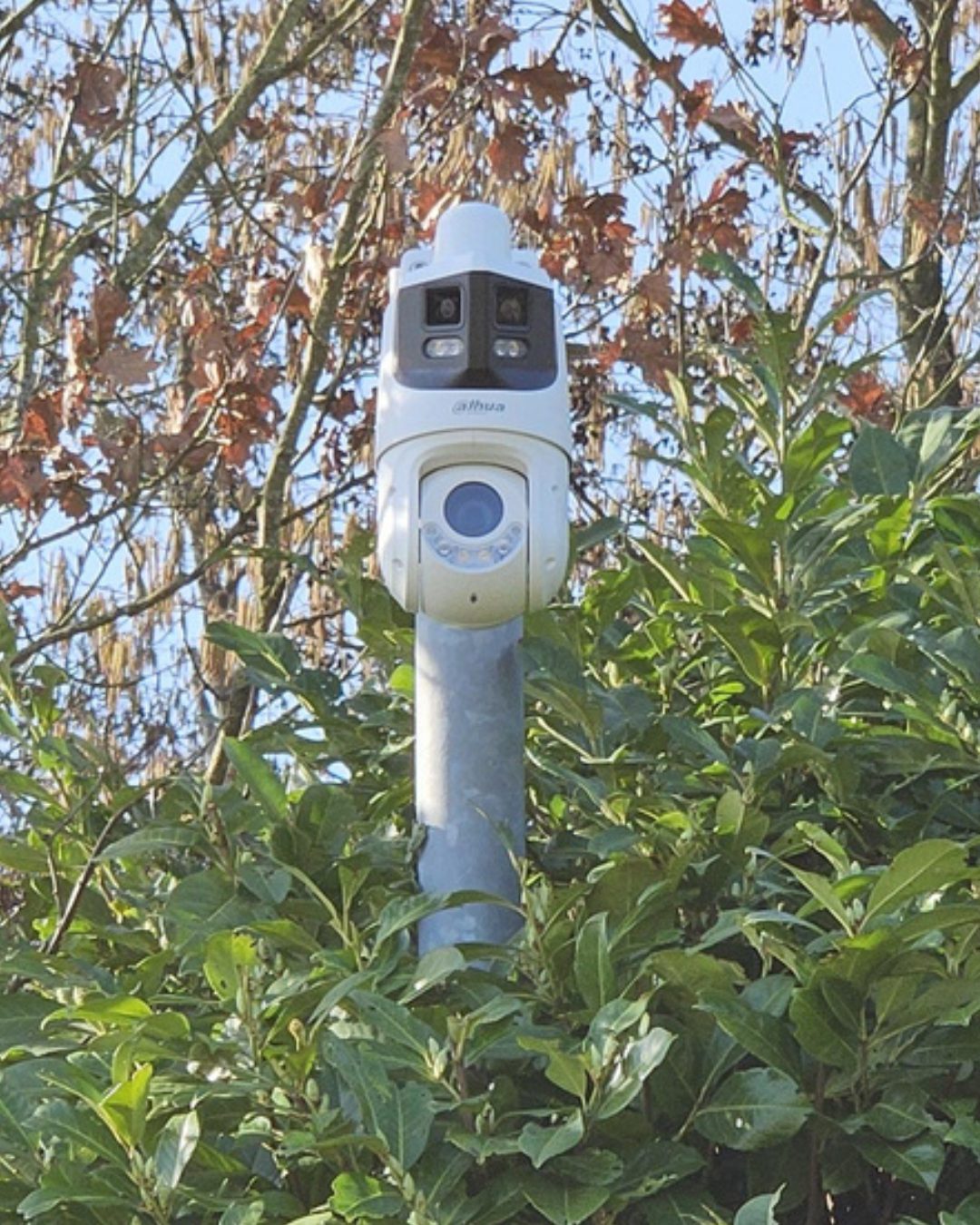 Witte PTZ-camera met dubbele lens gemonteerd op een paal tussen groen, tegen een blauwe lucht