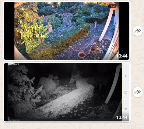 Dezelfde tuin overdag en 's nachts met een VIGI-camera
