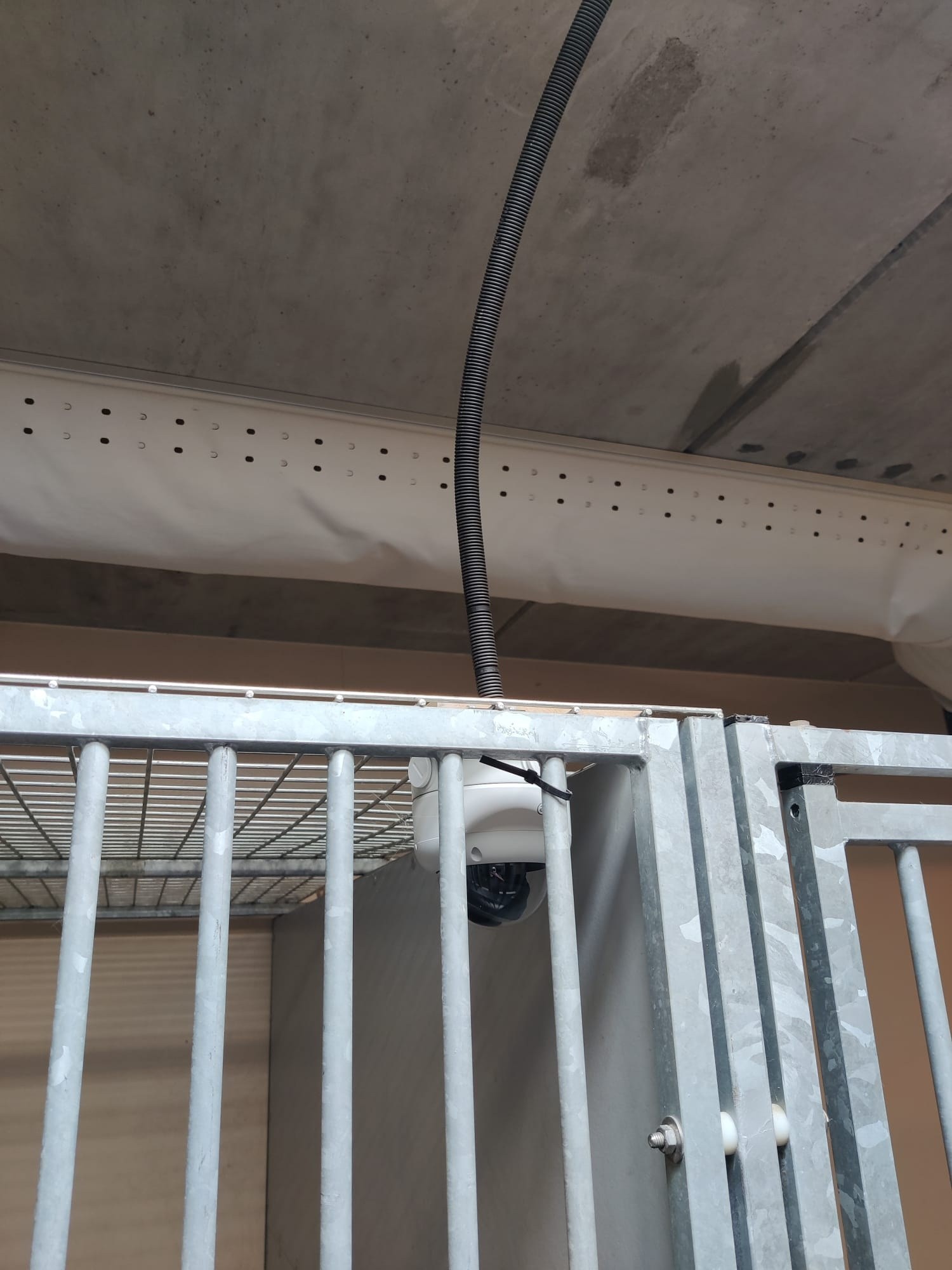 Witte dome-camera tussen de spijlen aan de bovenrand van een kennel, met de kabel in zwarte flexbuis vanaf het plafond