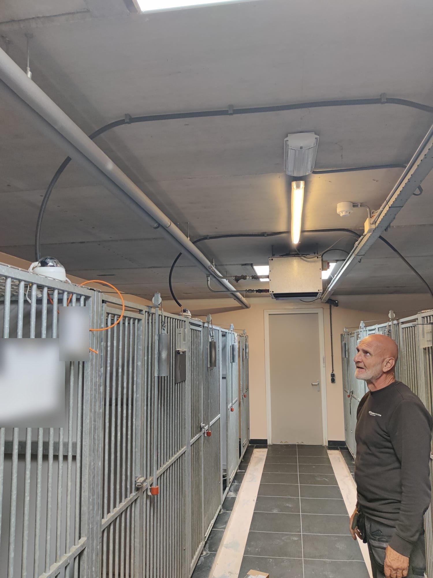Monteur van CameraInstallatie.nl kijkt omhoog in de gang tussen de kennels, met witte dome-camera's op de bovenrand van de hokken