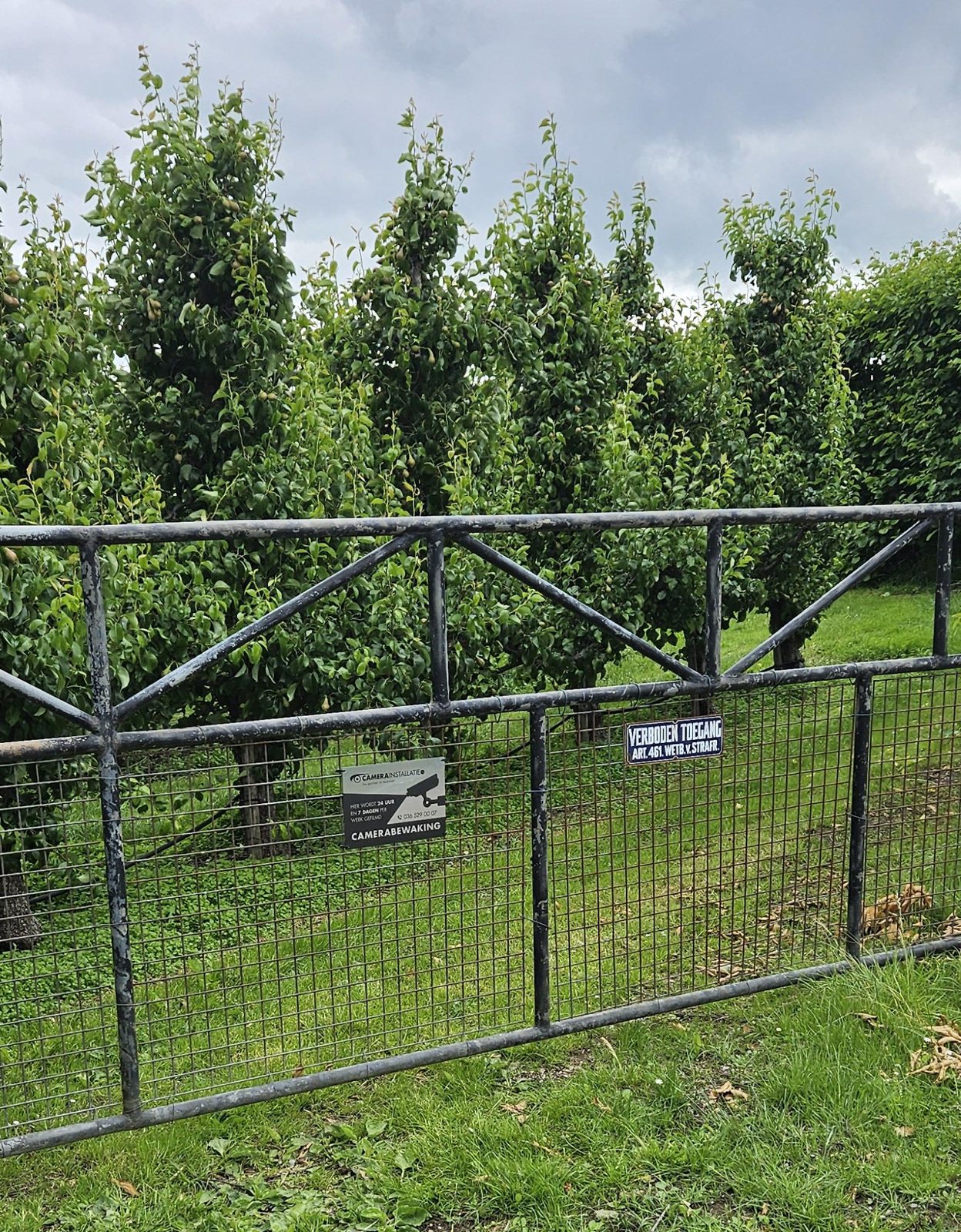 Metalen hek met een bord camerabewaking, met perenbomen erachter