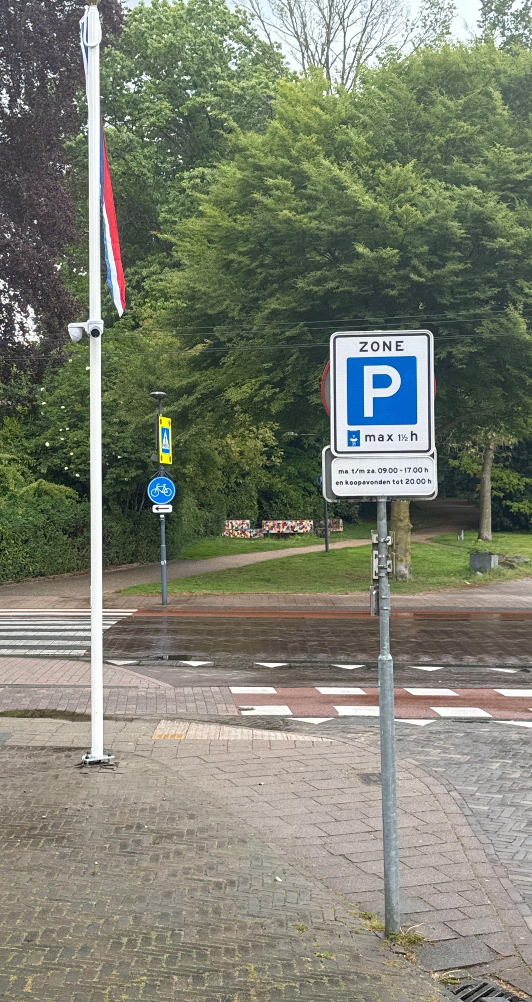 Witte vlaggenmast met vlag en camera&rsquo;s op een straathoek met zebrapad en bomen