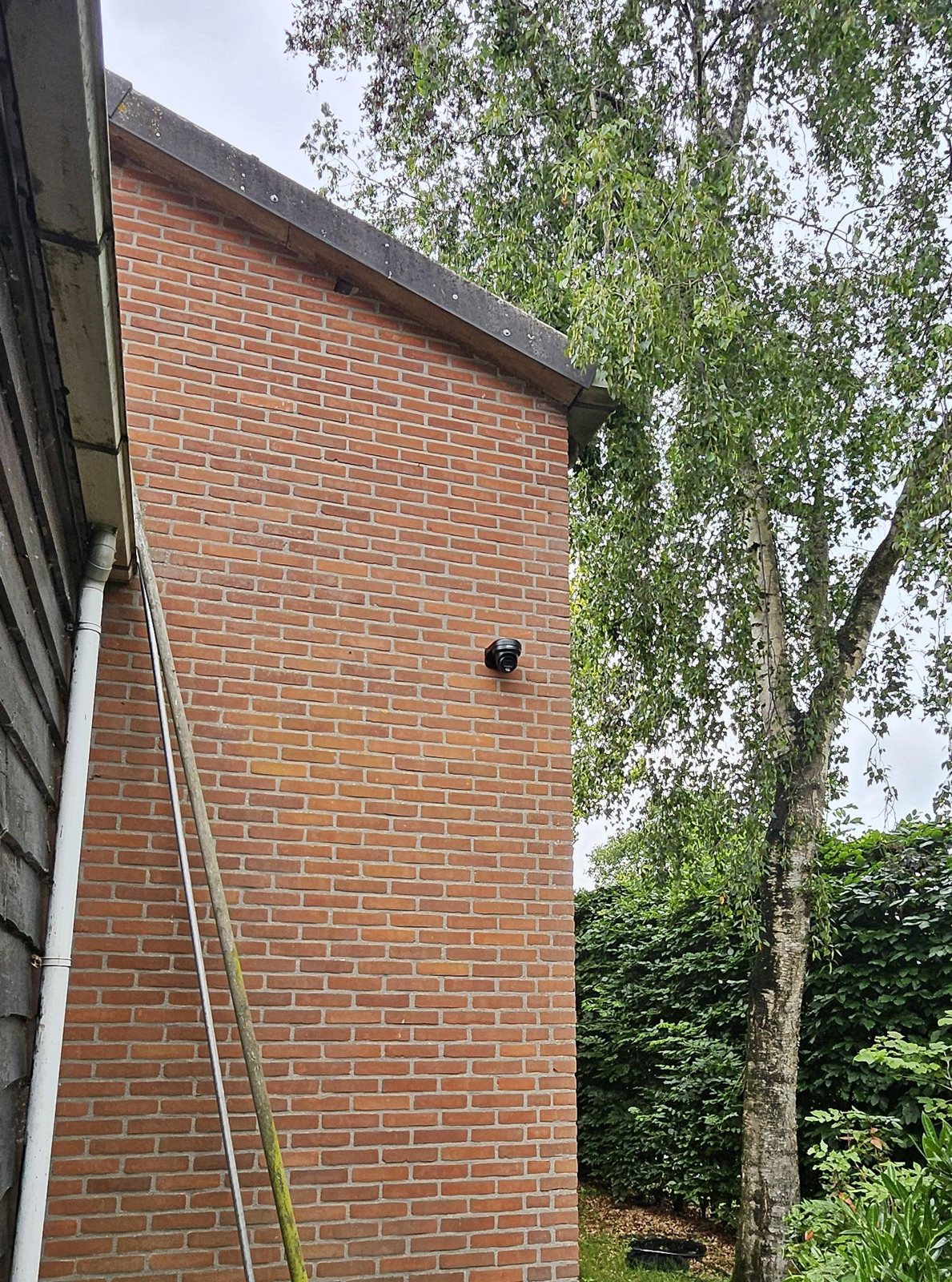 Zwarte turretcamera hoog op een rode bakstenen zijgevel naast een berk