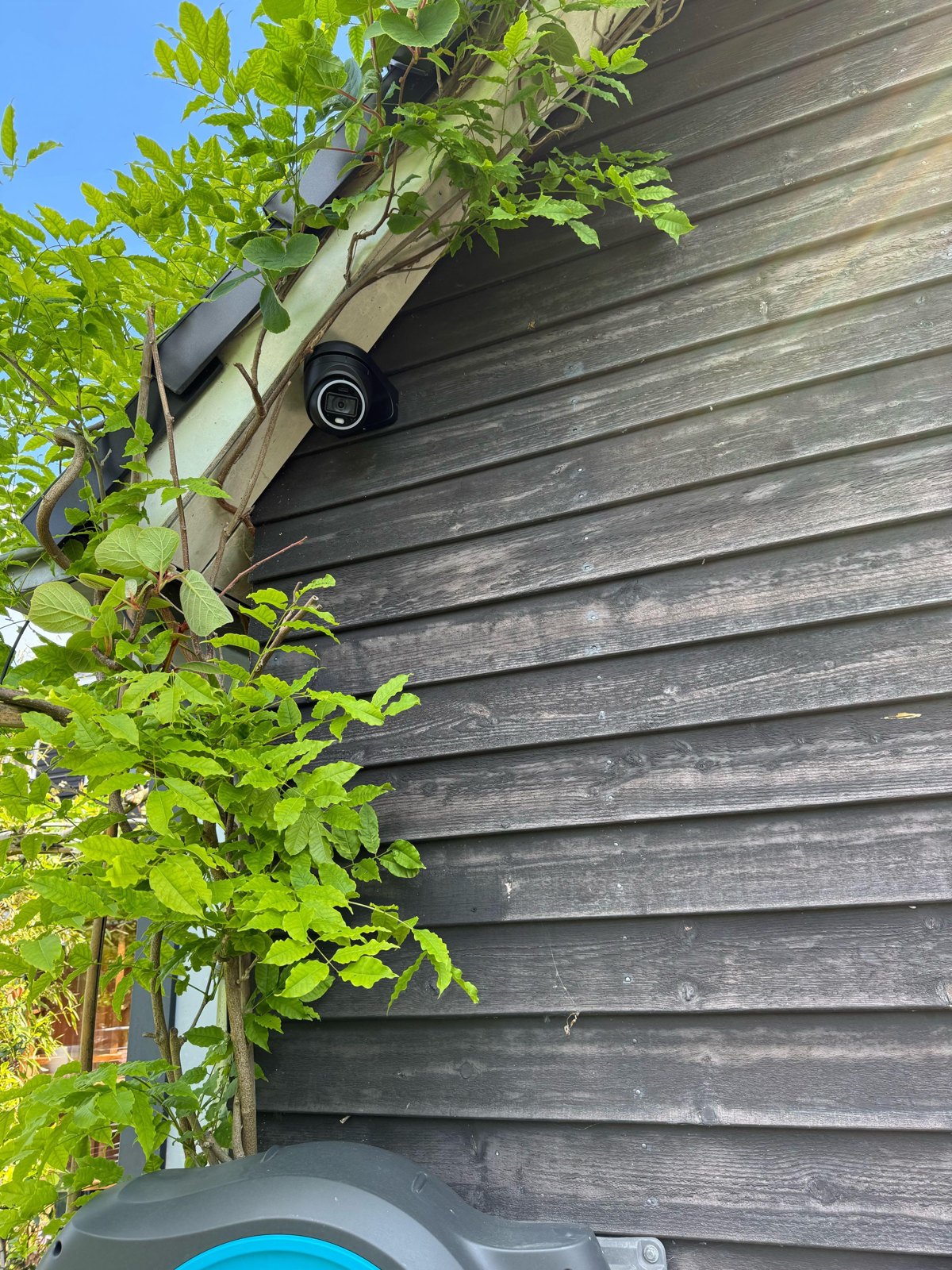 Zwarte turretcamera tegen een donker houten gevel, tussen de takken van een blauweregen