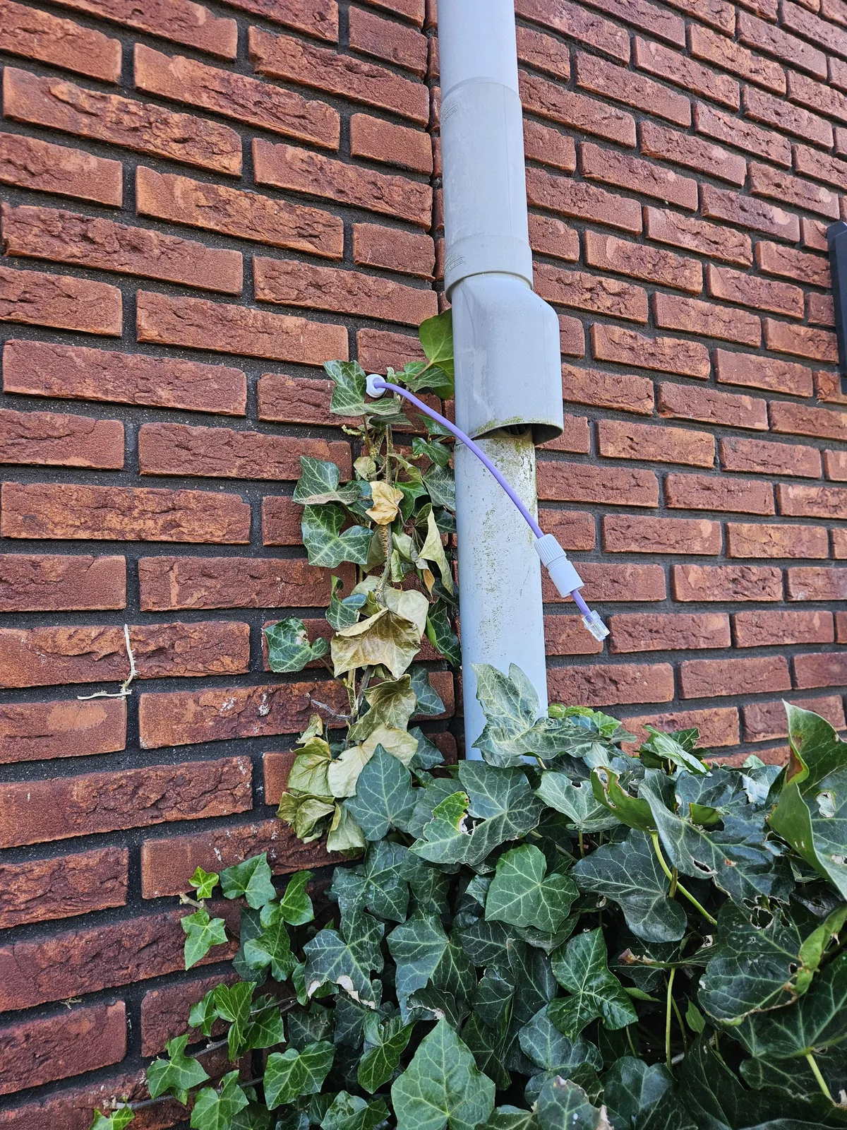 Het eind van een bestaande netwerkkabel aan de bakstenen achtergevel, op de plek waar de camera komt
