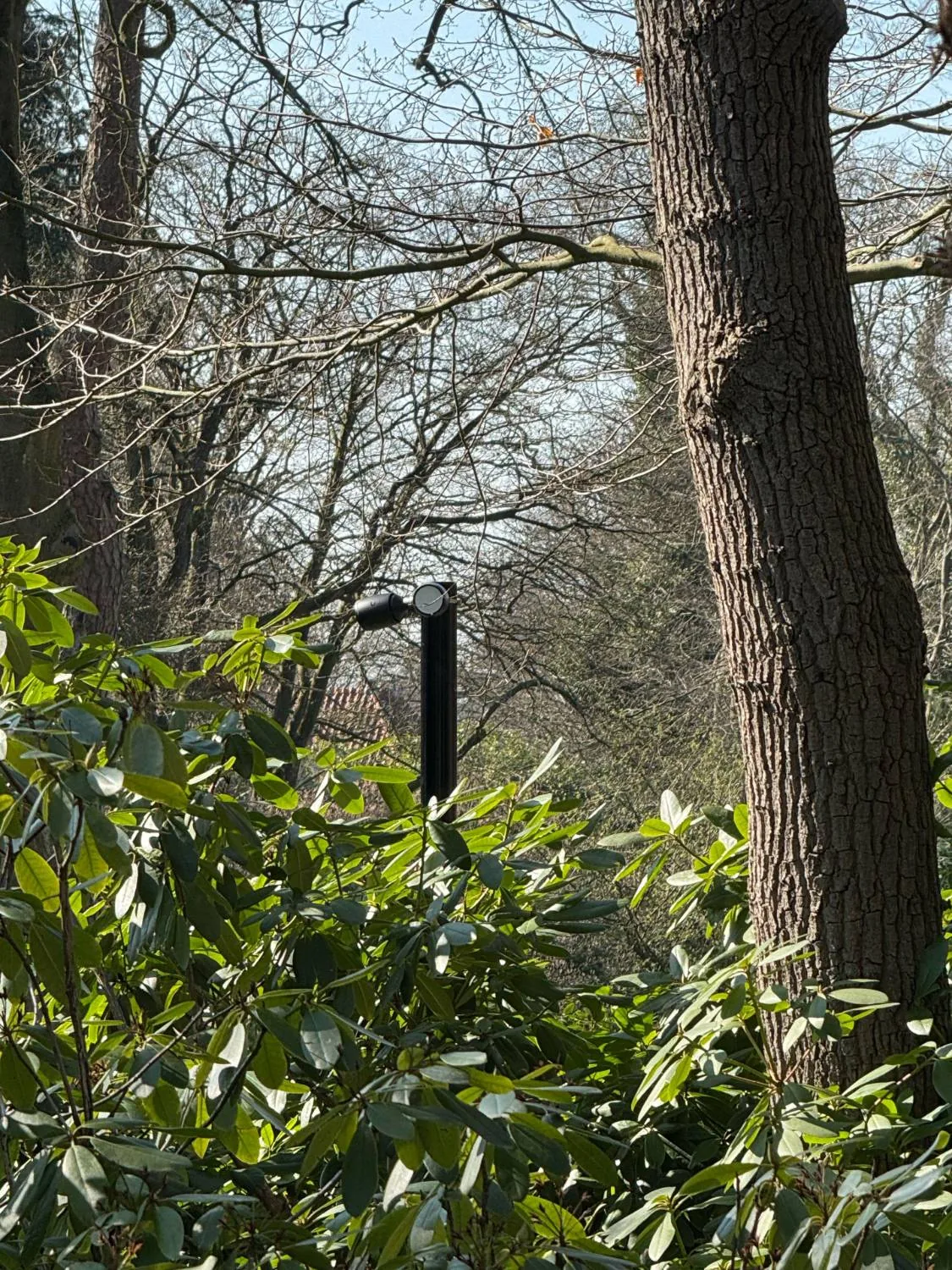 Camerapaal met camera half verscholen tussen takken en rododendrons