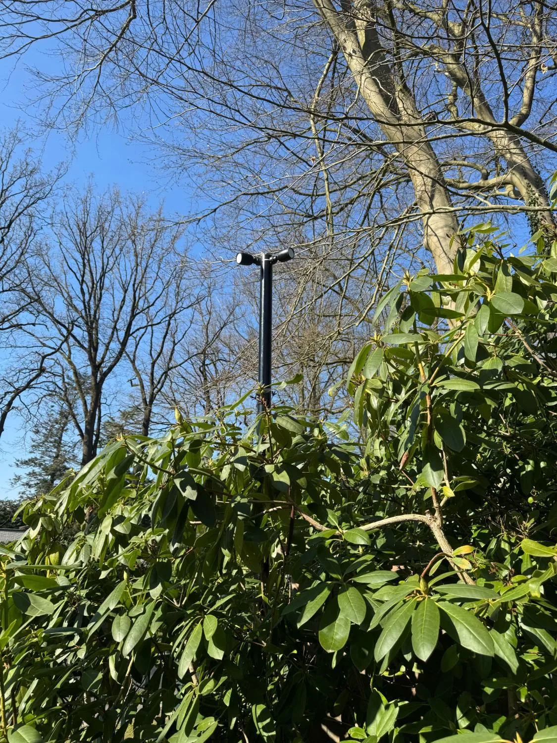 Camerapaal met twee camera's boven op de paal, boven de rododendrons uit
