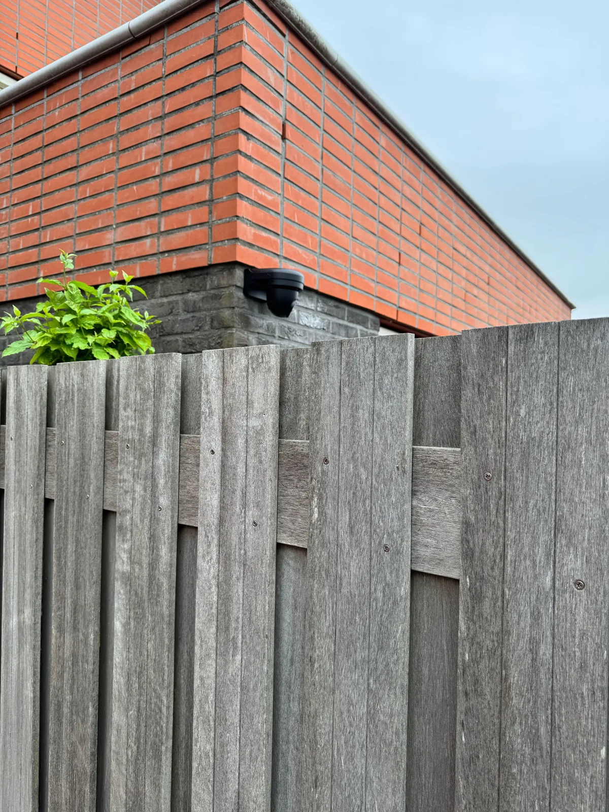 Zwarte Dahua-camera op de hoek van de achtergevel, net boven de houten schutting