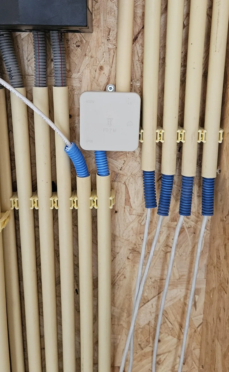 Kelderwand van OSB met beige installatiebuizen op clips, blauwe flexbuisjes met netwerkkabels en een lasdoos