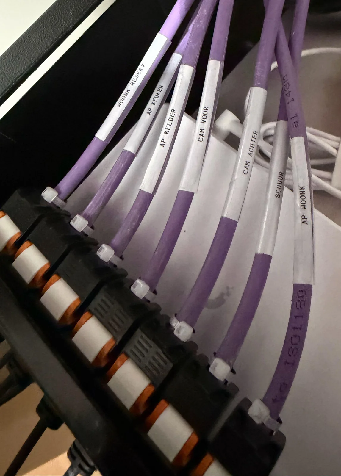 Detail van het patchpaneel: gelabelde netwerkkabels met tie-wraps op de keystones