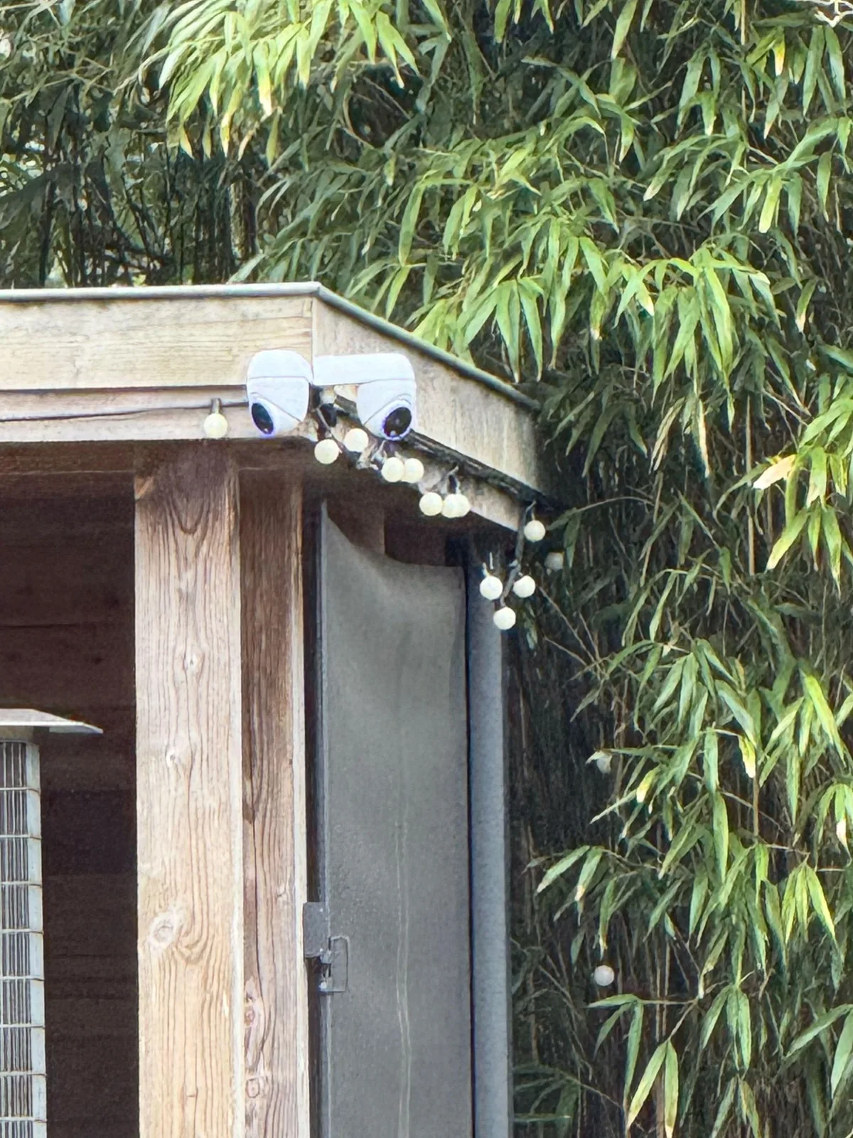 Twee witte camera's onder de dakrand van een houten tuinhuis, tussen de lichtslingers en het bamboe