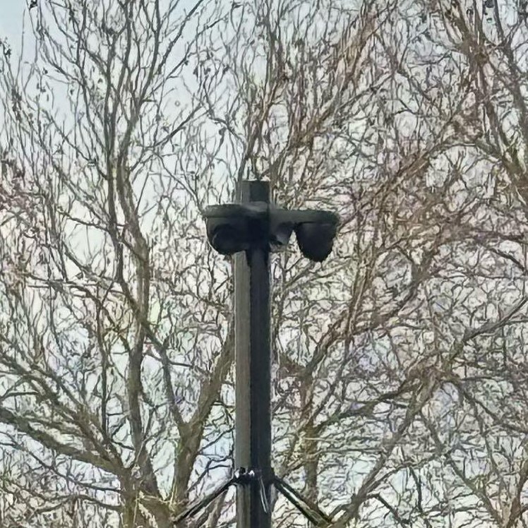 Twee zwarte camera's op een beugel bovenaan een zwarte mast, tegen kale takken