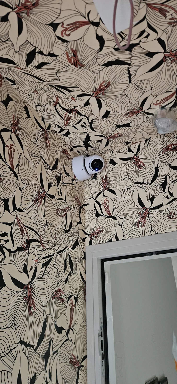 Witte UniFi G6-turretcamera tegen bloemetjesbehang in de gang, boven een deur