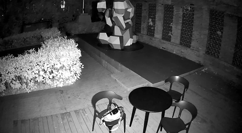 Hetzelfde terras in zwart-wit met infrarood