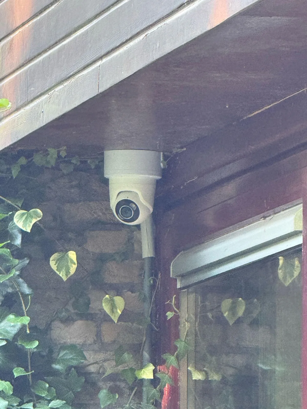 Een witte Ajax-camera onder het houten overstek, de kabel in een buis langs de klimop, in Maarn