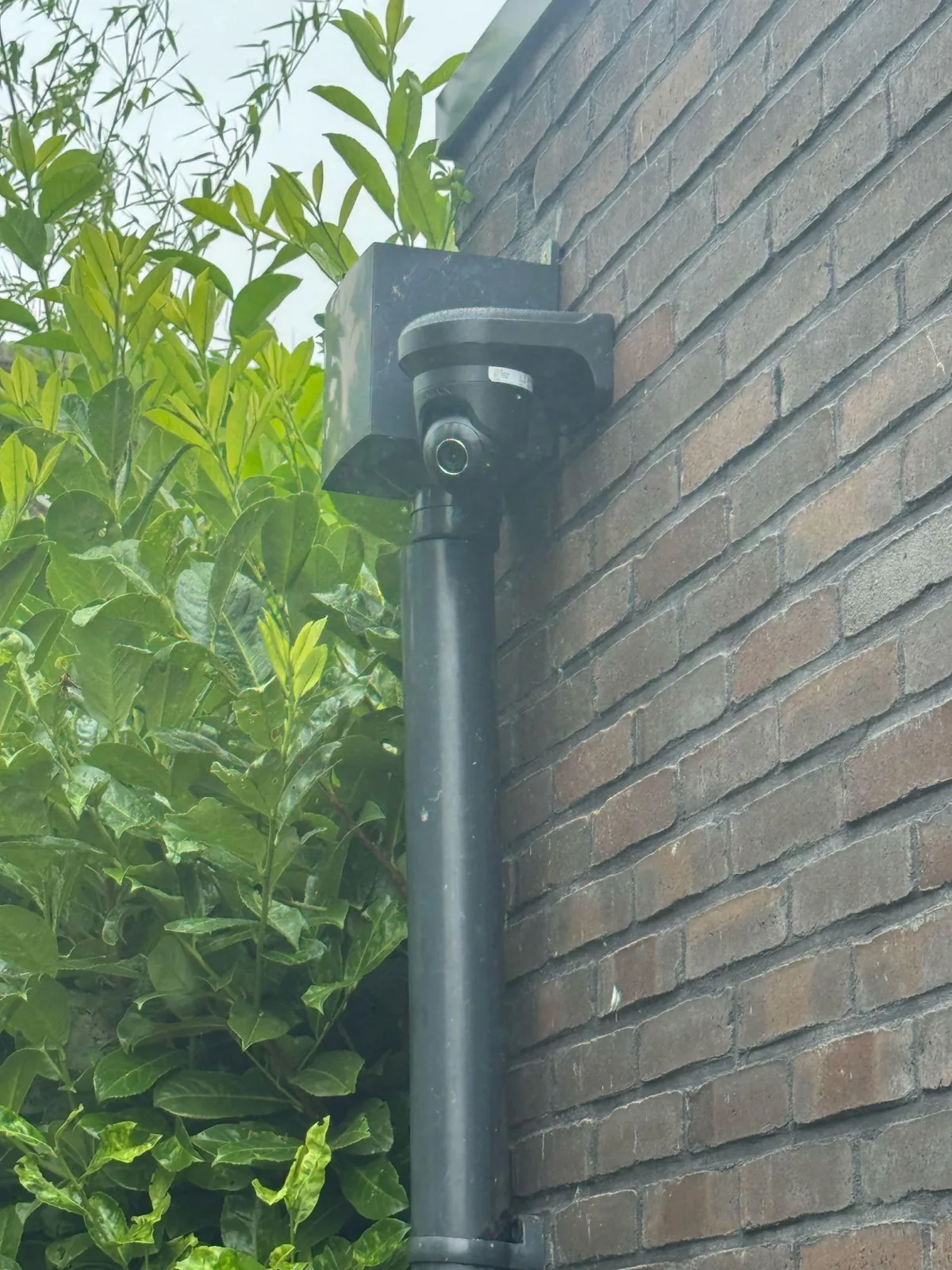 Zwarte Ajax TurretCam op de hoek van de gevel, boven een zwarte buis, met groen ernaast